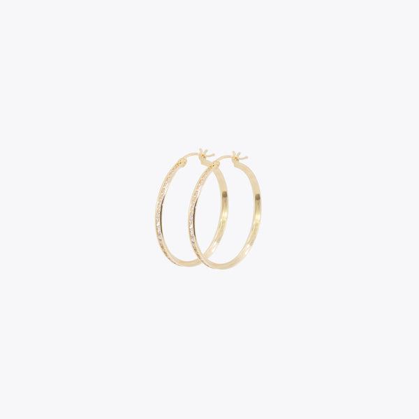 Iced out Hoops